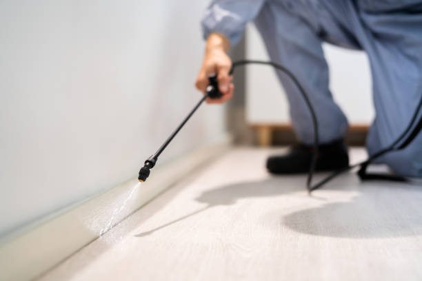 Licensed Fumigation Services service in Bell, CA - Nex Pest Control
