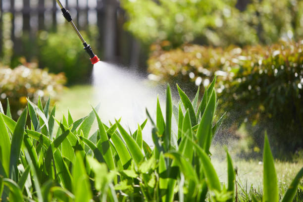 24/7 Emergency Fumigation Services experts in Bell, CA