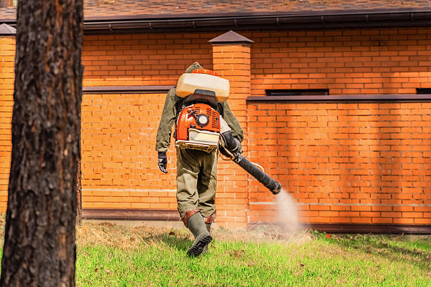 Top rated local Fumigation Services specialists in Bell, CA